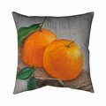 Fondo 20 x 20 in. Two Oranges-Double Sided Print Indoor Pillow FO2798730